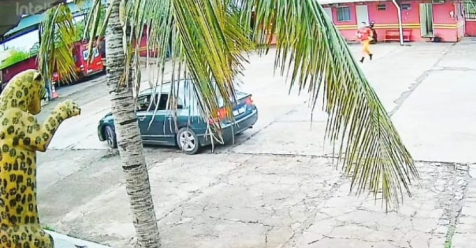 Foto: Divulgação/ Corpo de Bombeiros