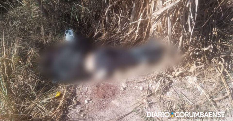 Foto: Diário Corumbaense