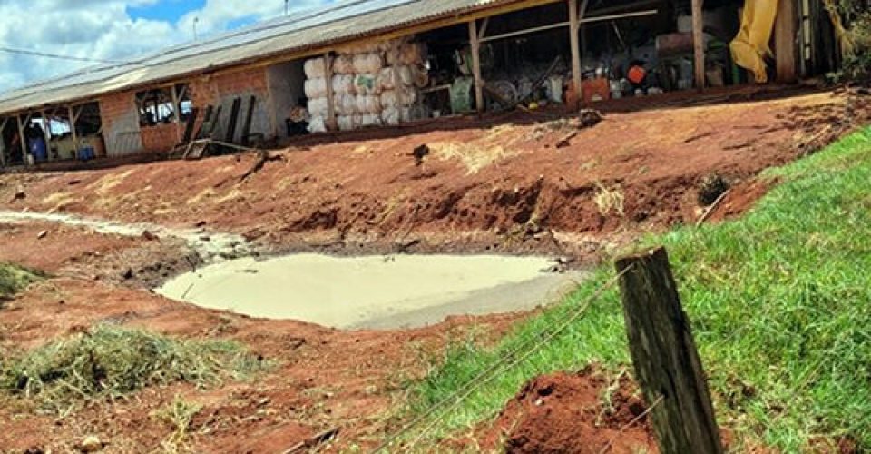 Recicladora de embalagens de agrotóxico é fechada