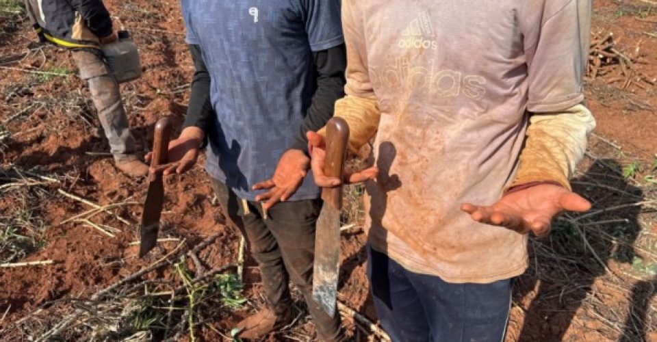 Foto: Divulgação/Auditoria Fiscal do Trabalho