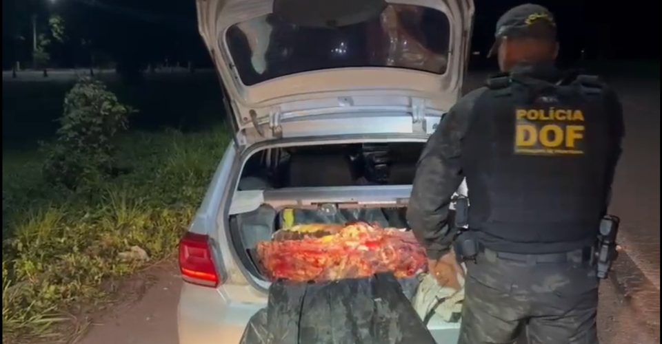 Foto: Divulgação/DOF