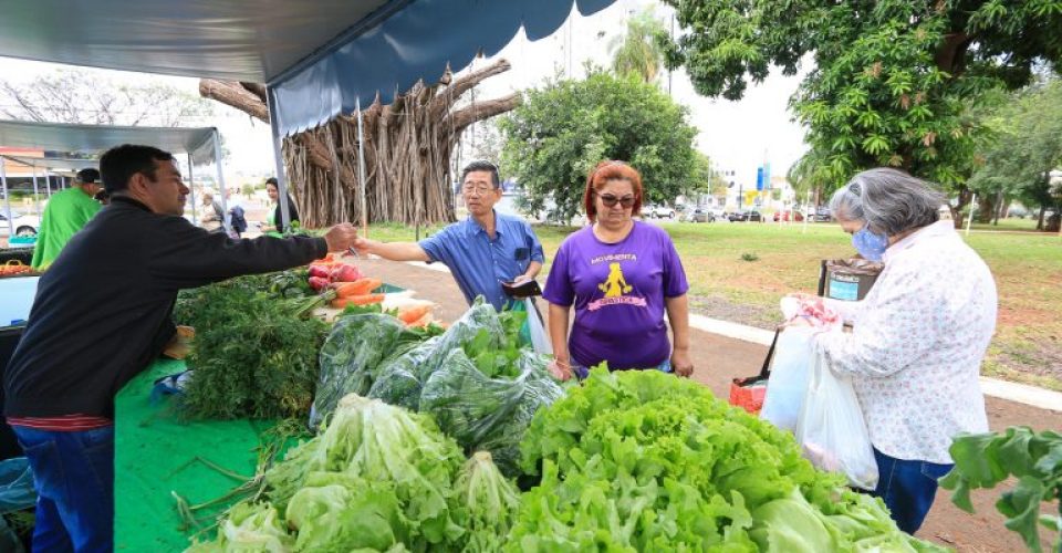 quintal sesc agricultura familiar