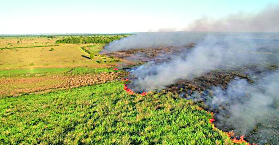 Pantanal de MS é alvo de várias investigações sobre a origem dos focos de incêndio - Foto: Reprodução-CBMMS