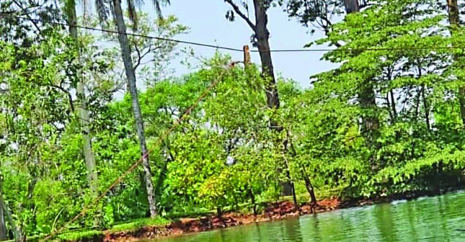 Imagem mostra fios em local de festas onde ocorreu o acidente que terminou nas mortes - Foto: Reprodução/Jardim MS News