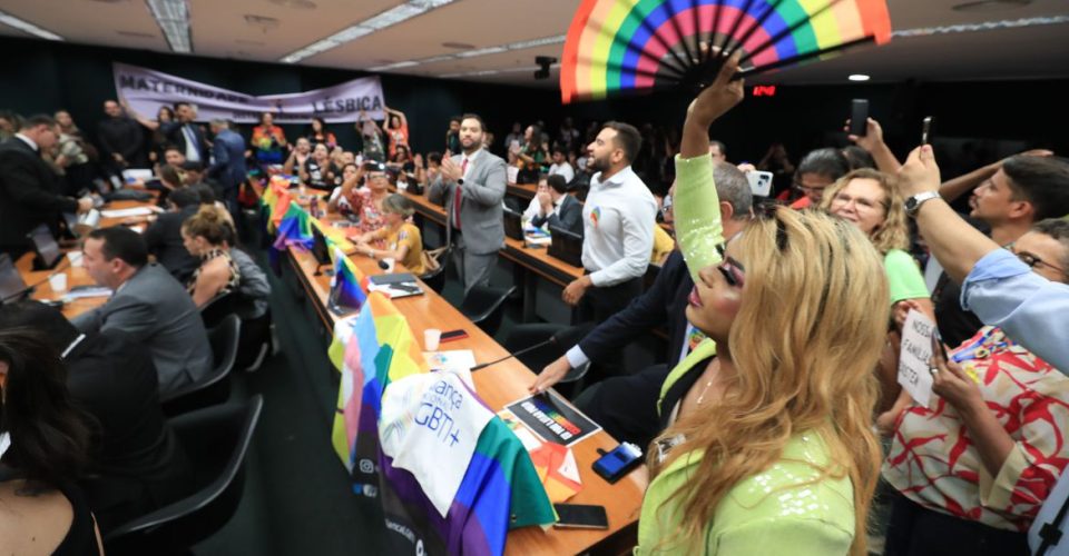 Foto: A Comissão de Previdência, Assistência Social, Infância, Adolescência e Família durante votação do projeto sobre o contrato civil de união homoafetiva/ Lula Marques -  Agência Brasil