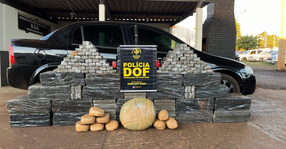 Foto: Divulgação/DOF