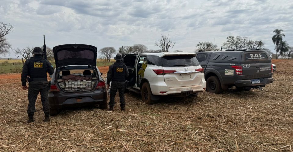 Foto: Divulgação/DOF