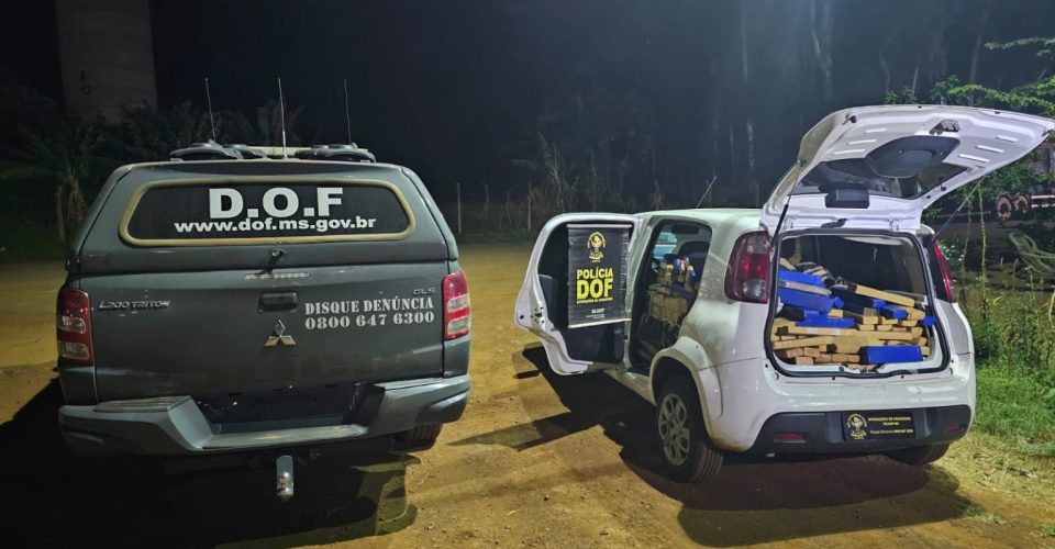 Foto: Divulgação/DOF