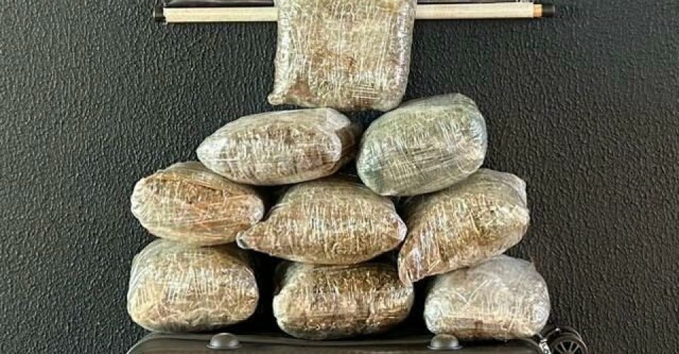 Foto: Divulgação/DOF