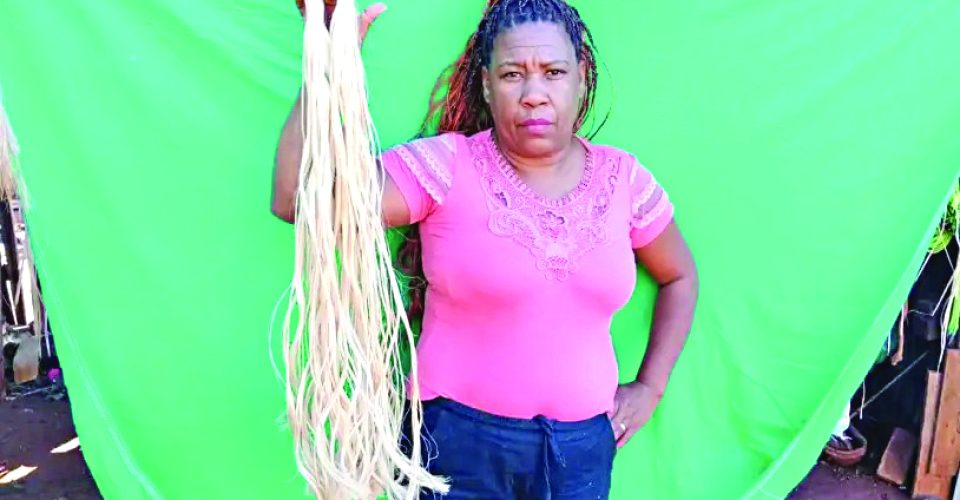 Marilza Eleoterio desenvolveu o projeto capilar com fios que saem da fibra de bananeira
- Foto: Divulgação