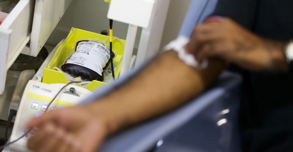 bolsas de sangue hemosul doacao doacoes estoque hemorrede ms mato grosso do sul