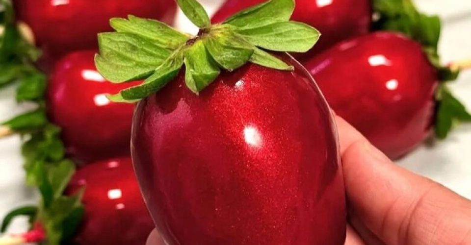 Foto: Divulgação/HU-UFMS