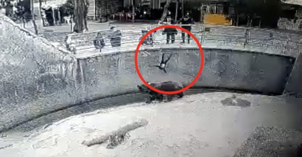 Reprodução/câmera de segurança