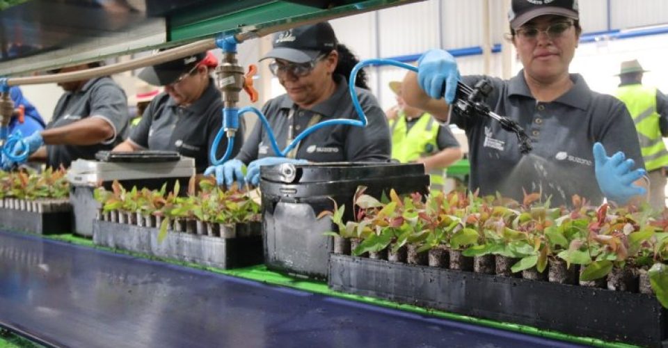 Foto: Divulgação/ SEC