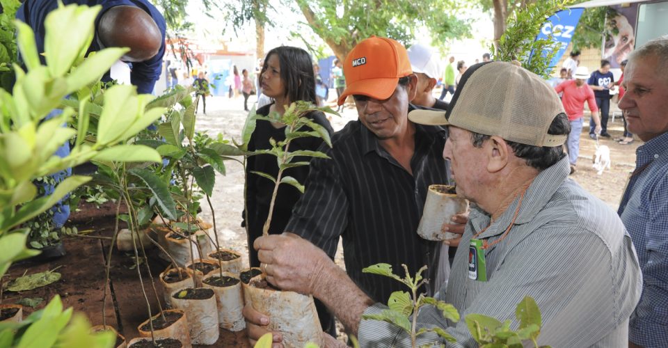 Foto: Divulgação/PMCG