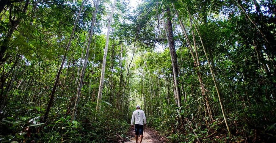 Foto: Marcelo Camargo/Agência Brasil