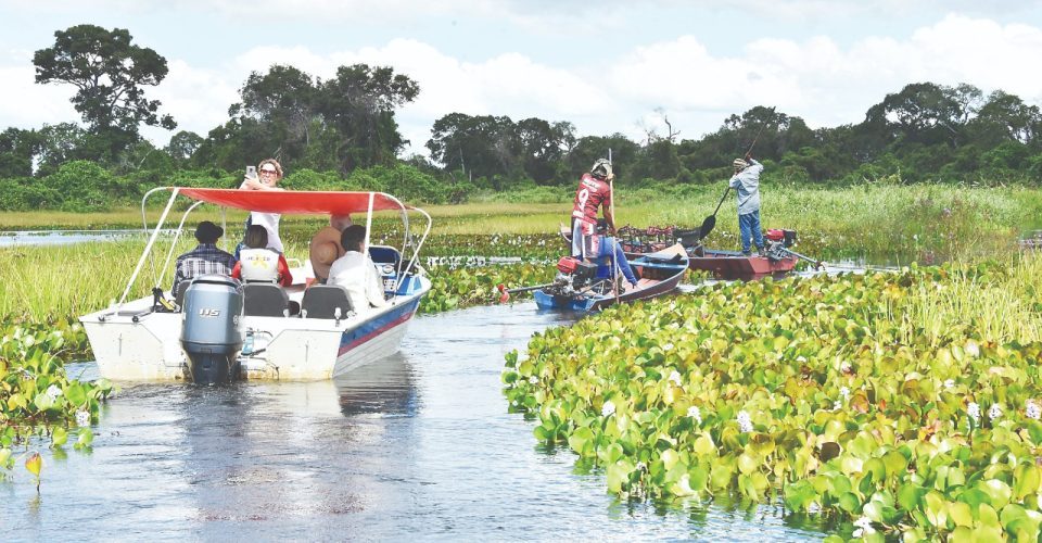 Governos de MS e MT se unem para criar políticas que atendam o Bioma do Pantanal