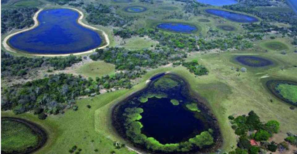 parque estadual do rio negro