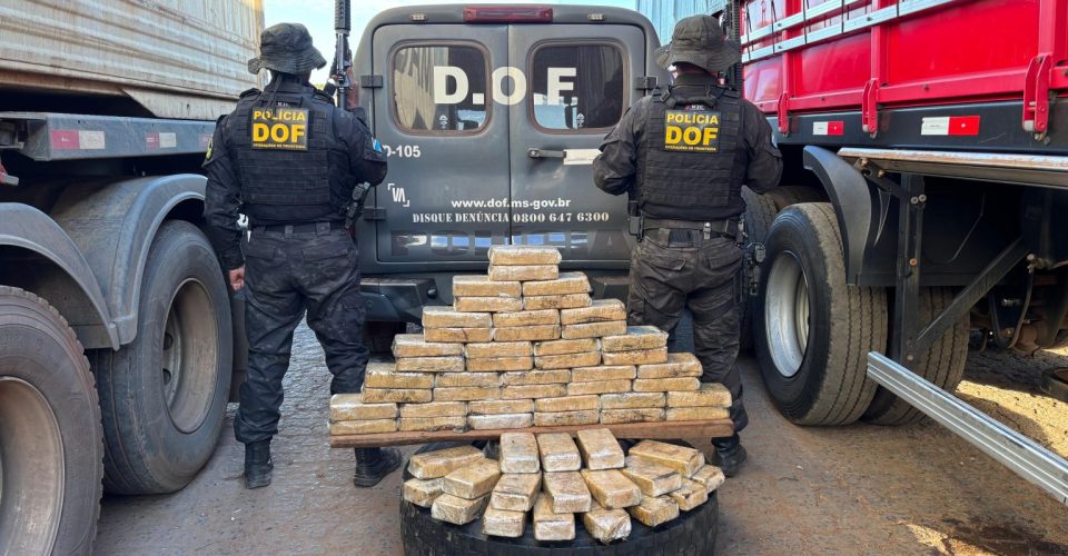 Foto: Divulgação/DOF