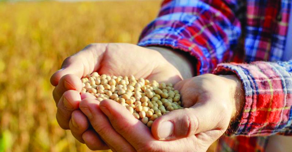 Crescimento robusto no campo gera reflexos amplificados em toda a cadeia produtiva - Foto: Famasul