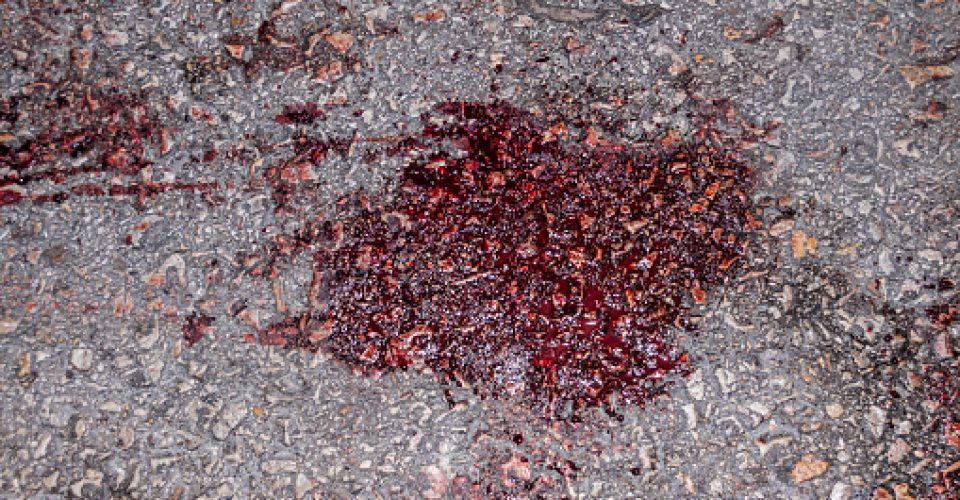 Blood on asphalt