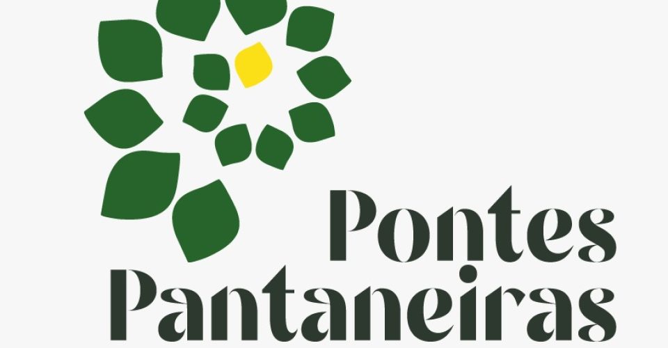 pontes pantanal