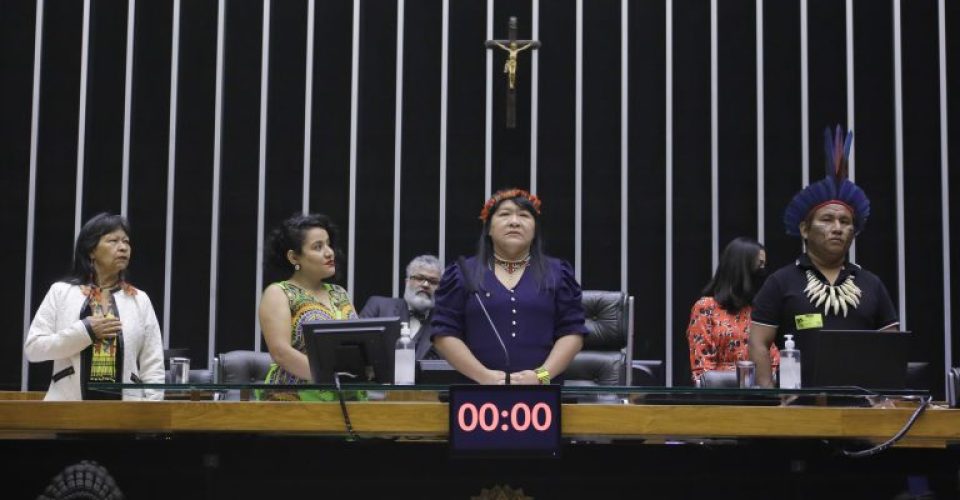 Joenia Wapichana: políticas públicas para povos originários estão negligenciadas -  Foto: Agência Câmara