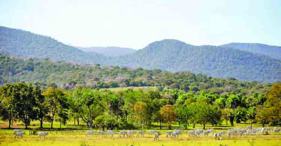 psa cponservação ambiental