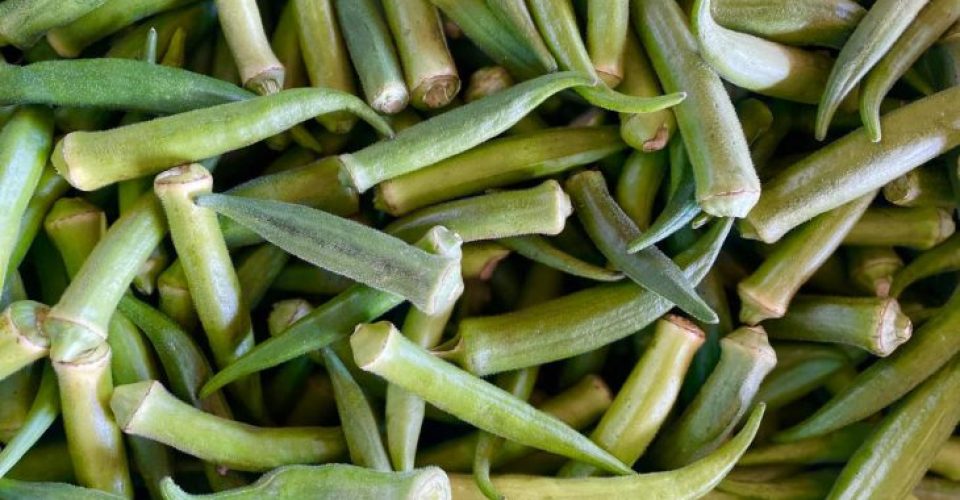 Foto: Comunicação Ceasa-MS