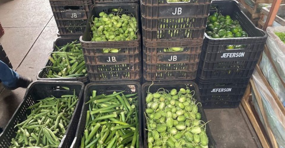 Foto: Comunicação Ceasa-MS