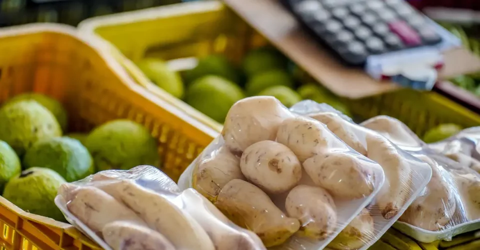 Foto: Rafa Neddermeyer/Agência Brasil