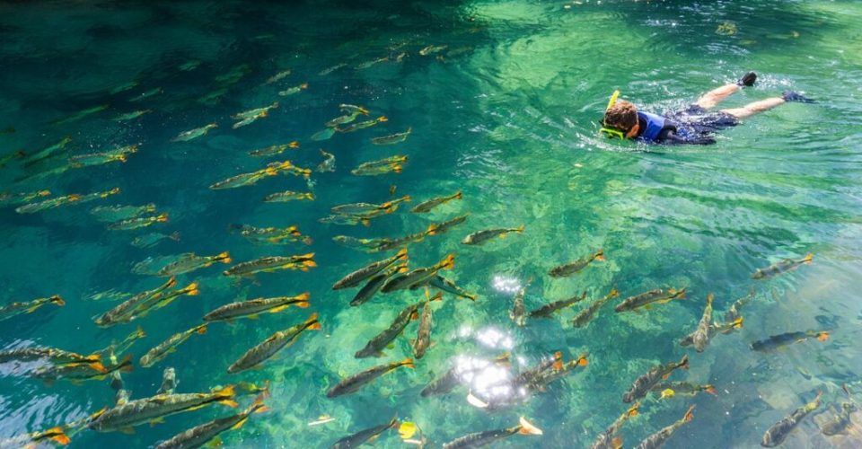 Foto: Bonito EcoTour