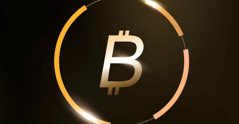 Bitcoin icon vector money currency symbol