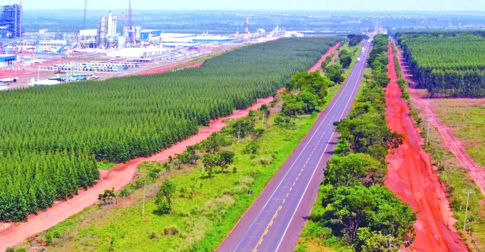 O leilão para concessão da Rota da Celulose ocorreu no dia 8 de maio - Foto:  Saul Schramm