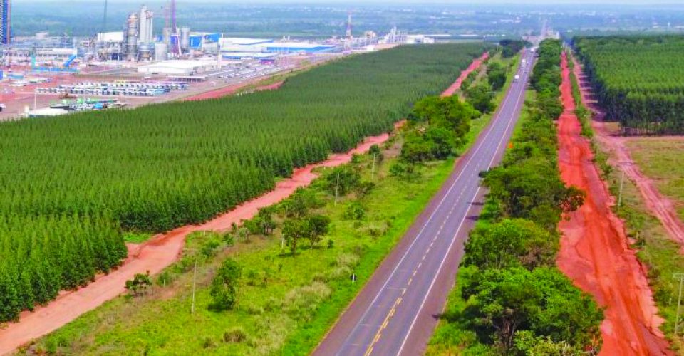 Rota da Celulose envolve através da melhoria de vias como as BR-262, BR-267, MS-040, MS-338 e MS-395 - Foto: reprodução