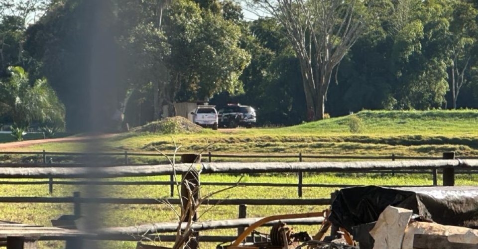 Foto: Jardim MS News