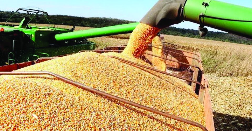 Foto: Edemir Rodrigues