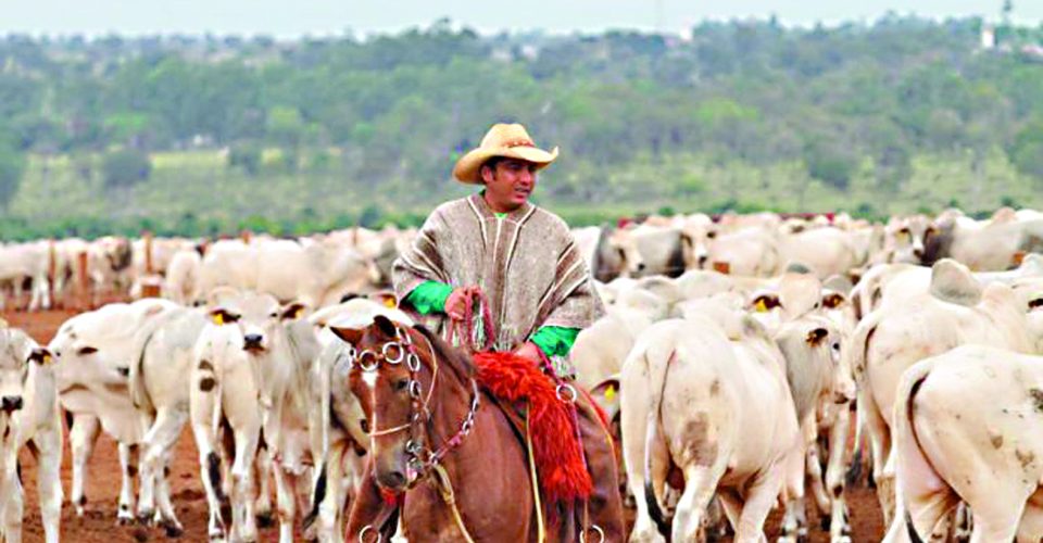 O anúncio da redução das taxas já era aguardado pelo setor - Foto: divulgação