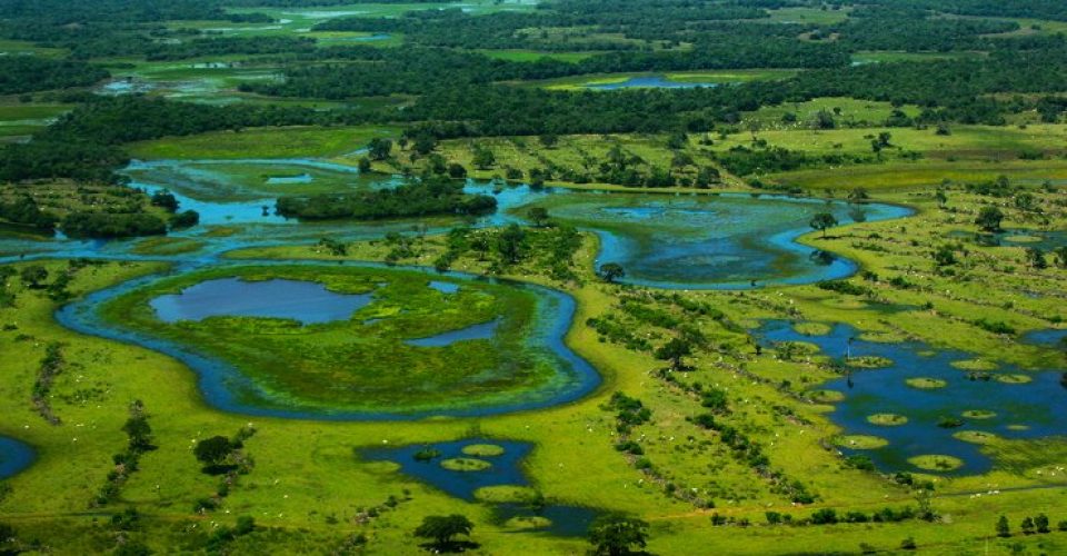 Defesa do Pantanalç na pauta de projetos da Assembleia Legislativa