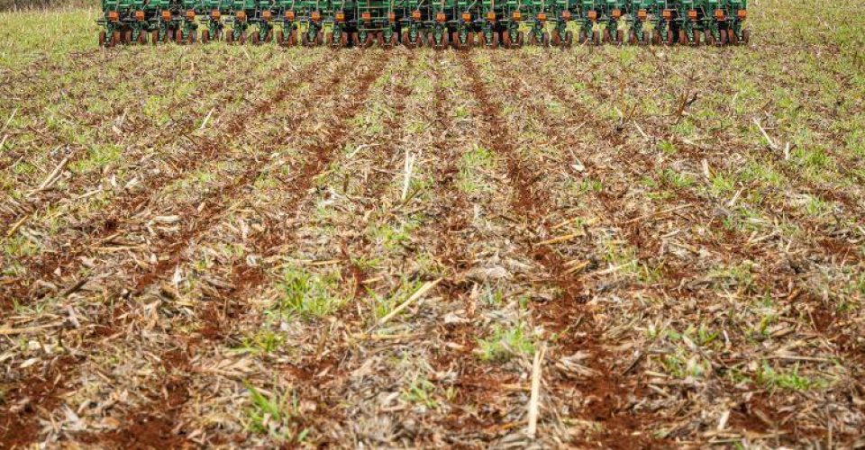 Vazio sanitário termiou na sextafeira