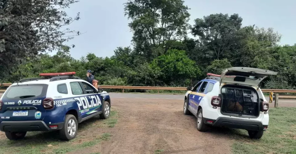 Foto: Divulgação/GCM