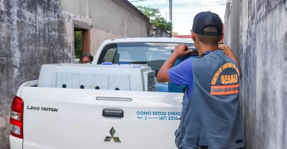 Foto: Divulgação/Polícia Civil