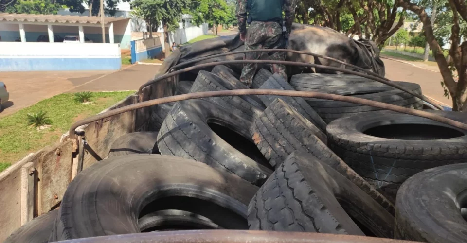 Foto: Divulgação/Polícia Militar Ambiental