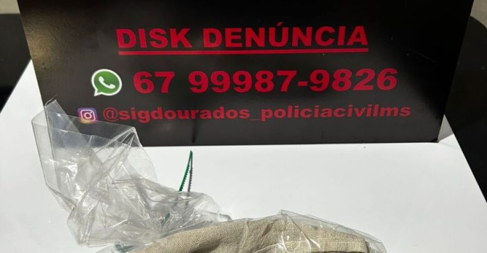 Foto: Divulgação