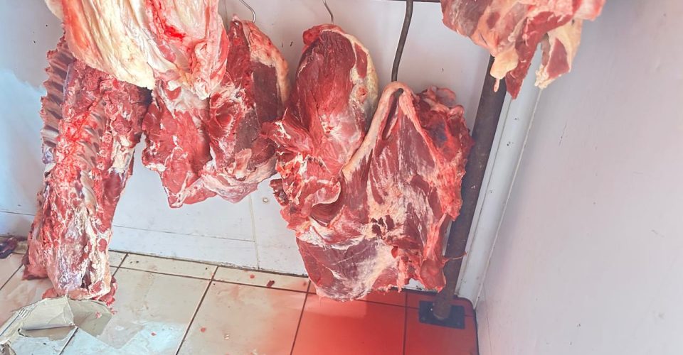 Foto: Divulgação/PCMS