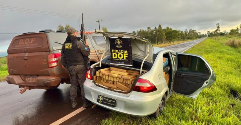 Foto: Divulgação/DOF