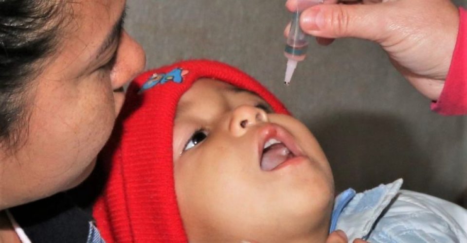 campanha vacinação crianças gotinha